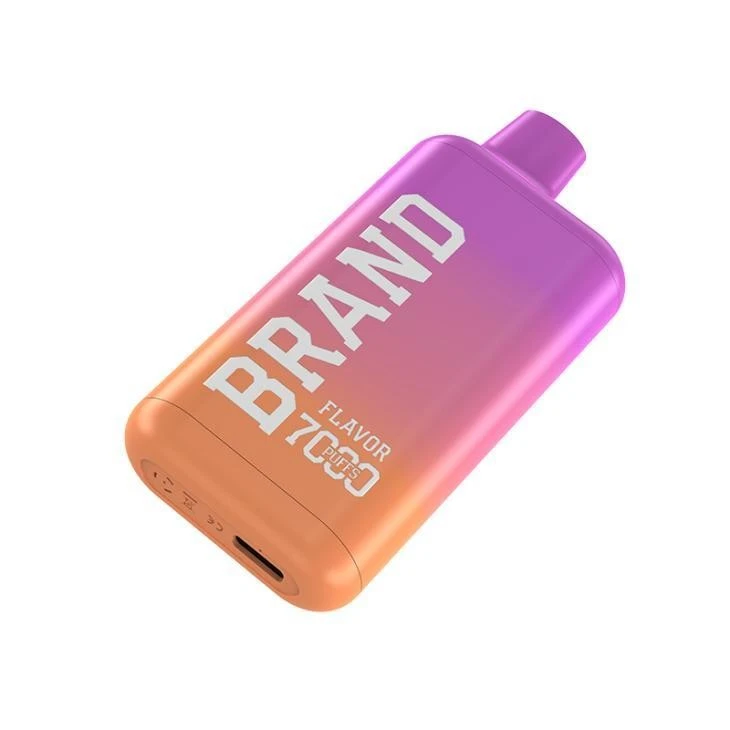 E Cigarette Vapes Pod