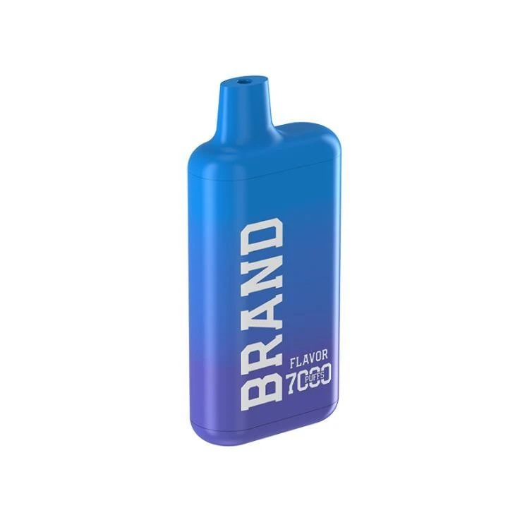 E Cigarette Vapes Pod